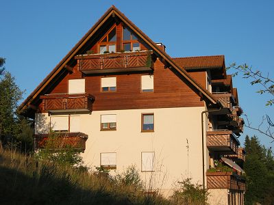 Wohnung im Dachspitz mit großen Balkon